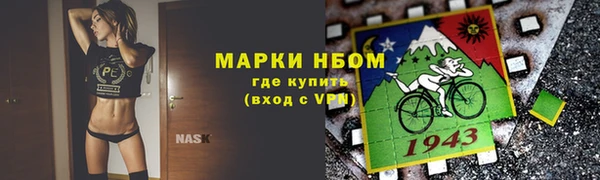кокс Алзамай