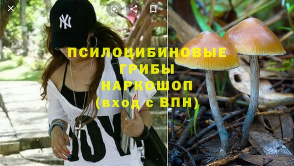 сатива Арсеньев